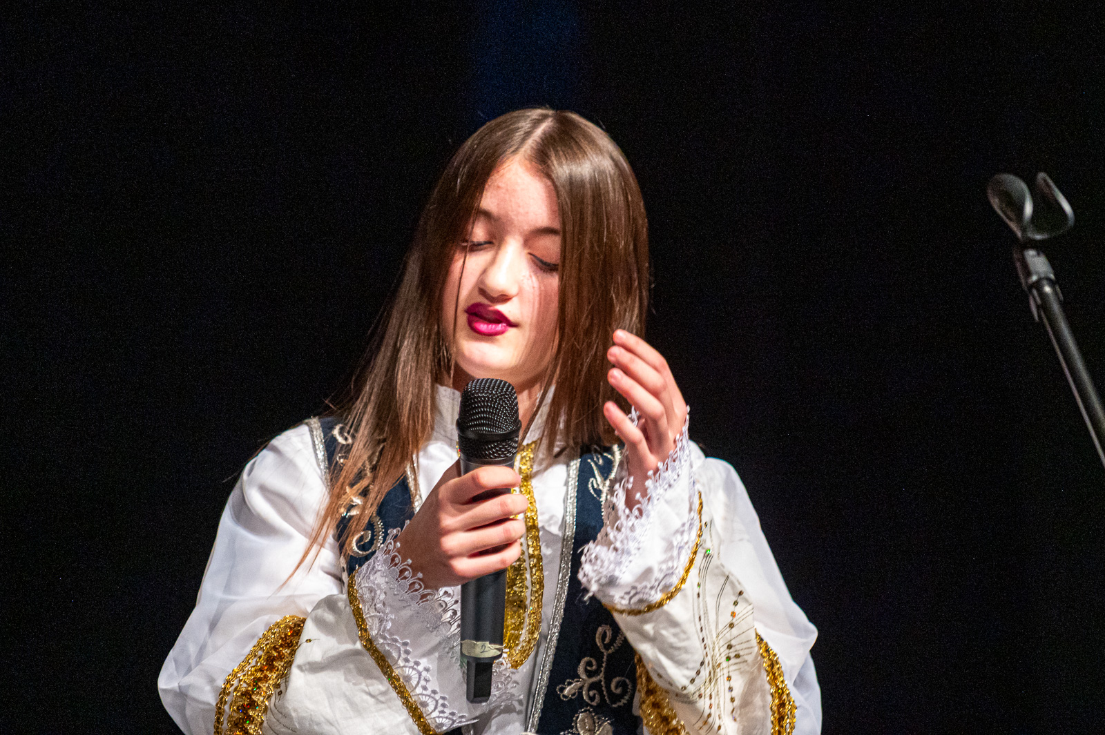 65.godišnjica Albanskog kulturnog društva u Hrvatskoj “Shkëndija”